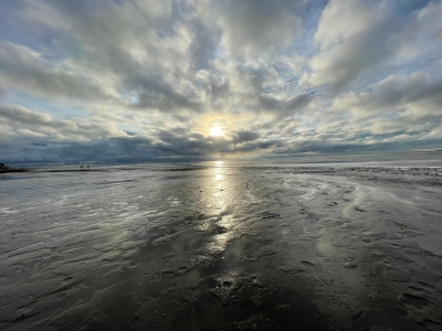 Zwischen den Hafenstädten Wilhelmshaven und Bremerhaven