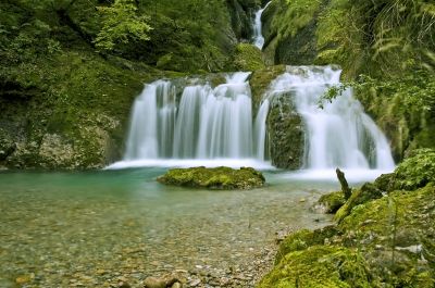 Wilde Natur
