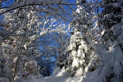 Neu: Noch mehr Action am Hausberg von Bad Tölz