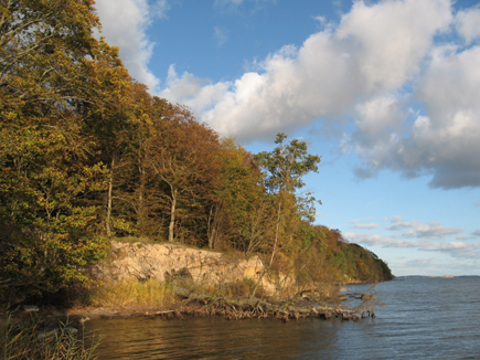 Wanderung durch den Goor-Wald