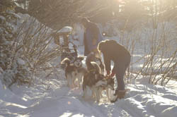 Am Wilden Kaiser werden Wintermärchen wahr