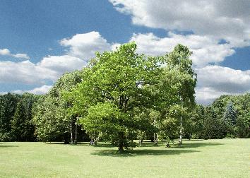 Zwei Radrouten im Kreis Soest