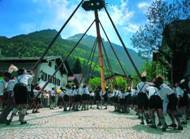 Stammhalter der Tradition