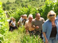 Wo Wein und Lesen zusammengehören