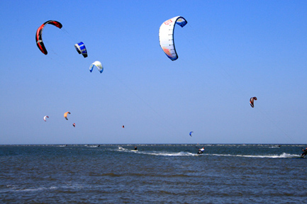 Natur pur an Niedersachsens Nordsee: