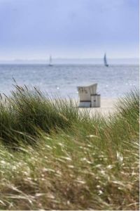 Großes Maifeuer am Aktionsstrand