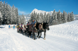 Mit Pferd und Kutscher durch das winterliche Tannheimer Tal