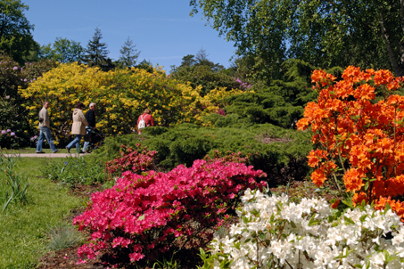 14. Mai: Rhododendronpark Graal-Müritz