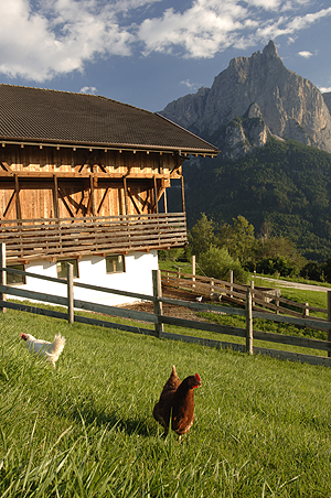 Roter Hahn spezial – Urlaub auf dem Südtiroler Biobauernhof