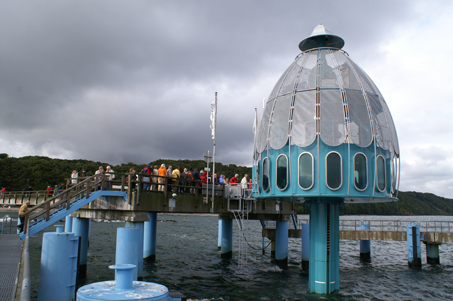 Abtauchen an der Seebrücke