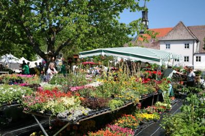 15. Tölzer Rosen- und Gartentage